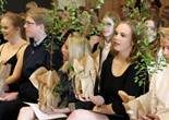 IMG_6678 (1280x853).jpg (92908 bytes)